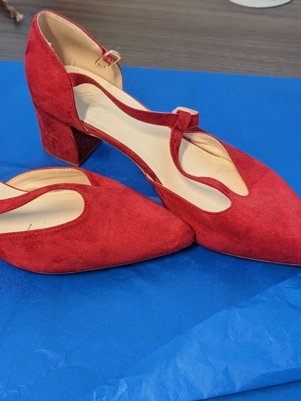 Huiyuzhi Mary Jane Pointed-Toe Block Heel in Rust Orange Suede